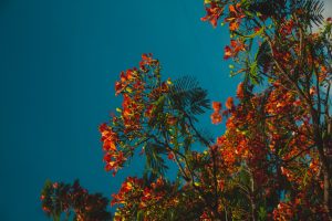 Towards common ground Image